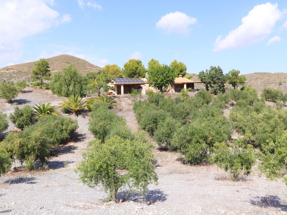 Herregård i Puerto Lumbreras, Murcia - bilde 5